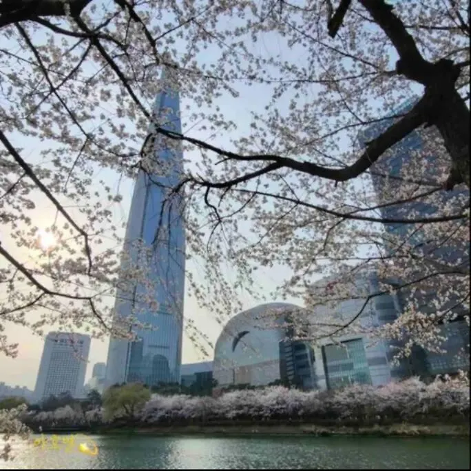 U House Apartment Seoul 0*,